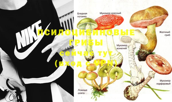 гашишное масло Алексеевка