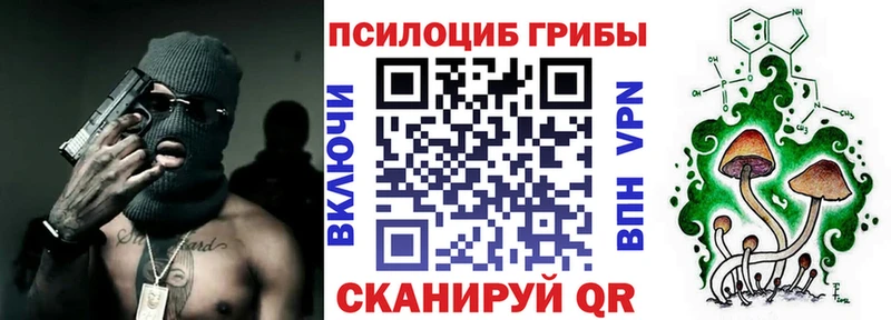 Галлюциногенные грибы Psilocybe Суджа