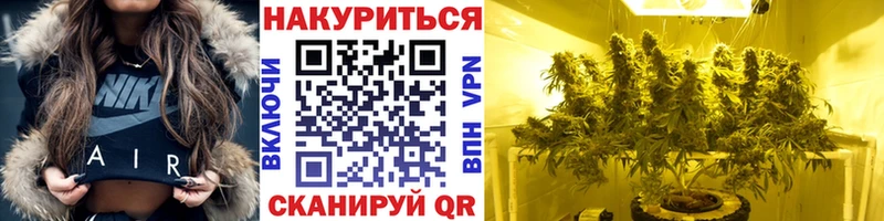 Бошки Шишки семена  цена   Суджа 